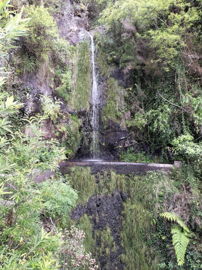 Villa Fanny Ribeira Brava Zewnętrze zdjęcie